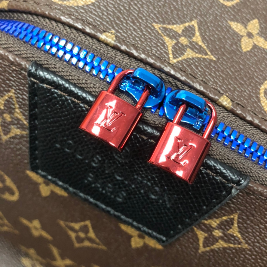 Louis Vuitton Apollo Backpack MM - Brown