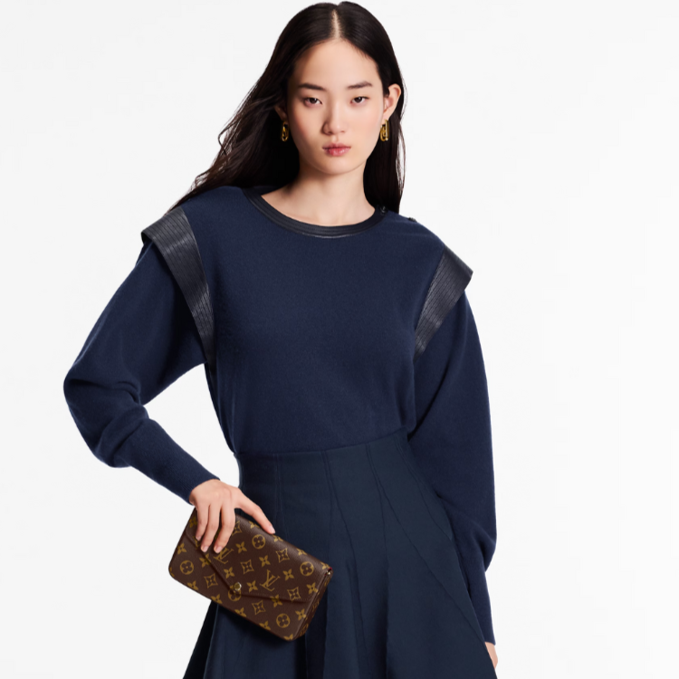 Louis Vuitton Pochette Félicie Chain Wallet - Brown